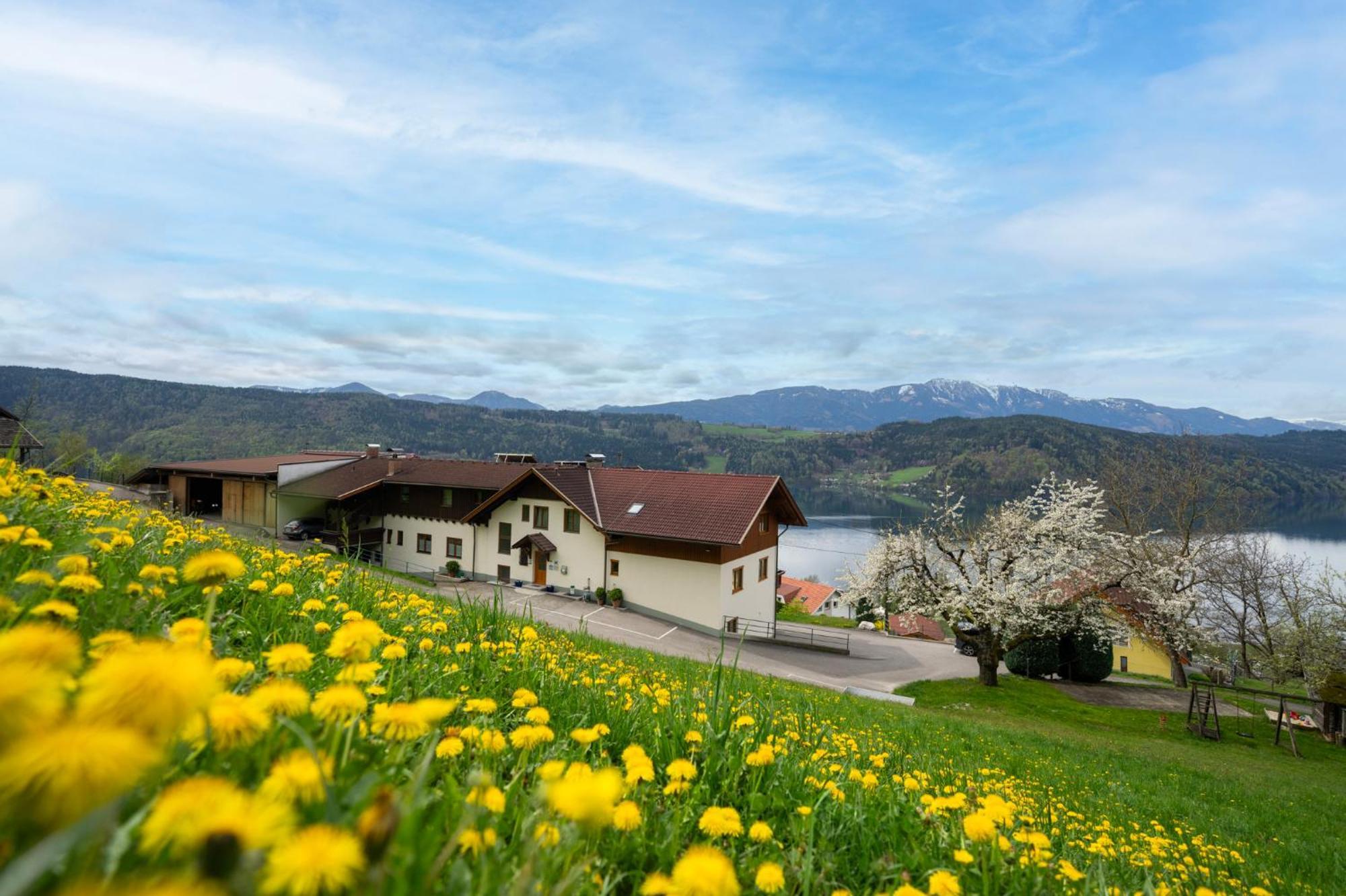 Frühstückspension Götzfried-Hof Millstatt Exterior foto